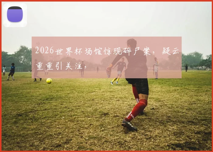 2026世界杯场馆惊现碎尸案，疑云重重引关注，