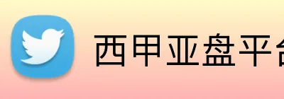 西甲亚盘平台 logo